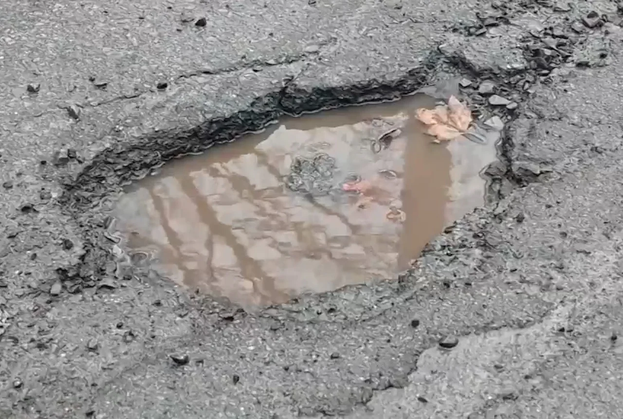 Why Halifax is afflicted by an uptick in potholes this winter