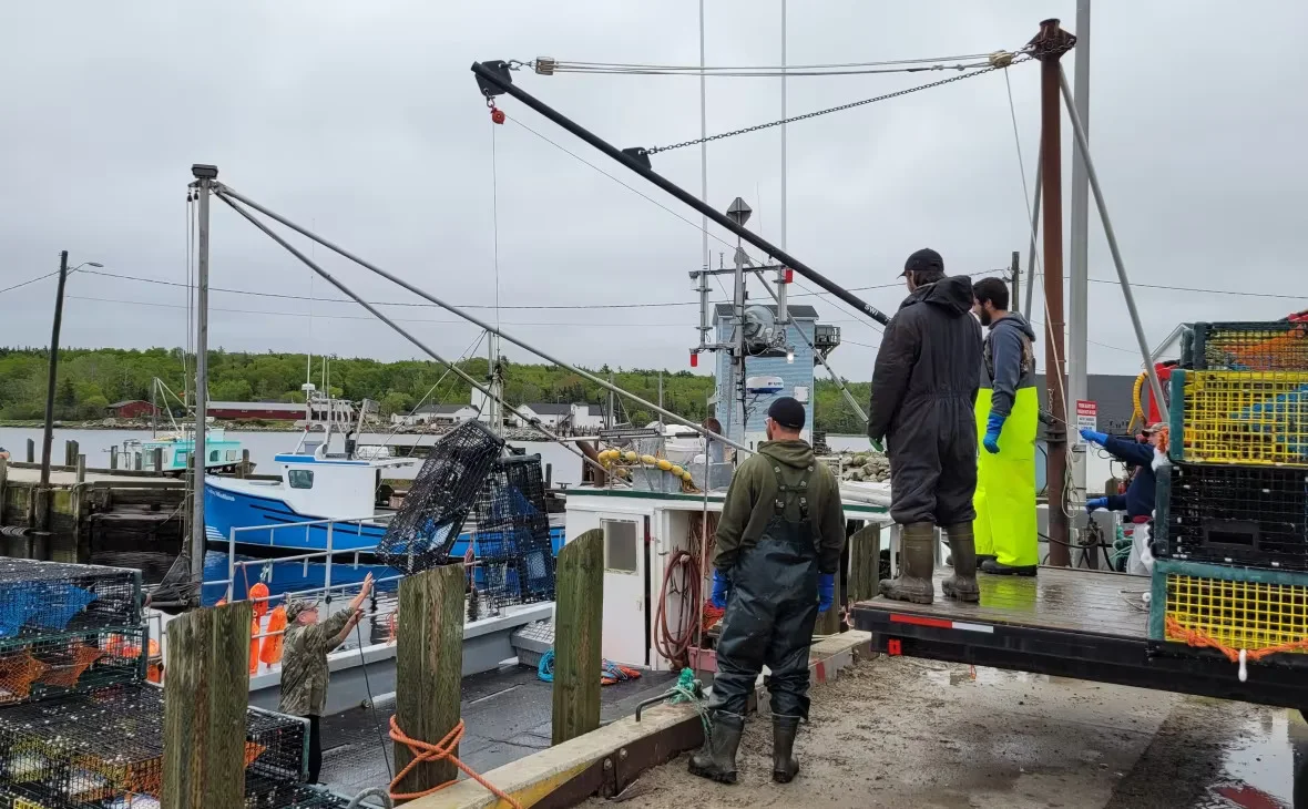 CBC: Fishermen hauling in traps at Gunning Cove Wharf (Gareth Hampshire/CBC)