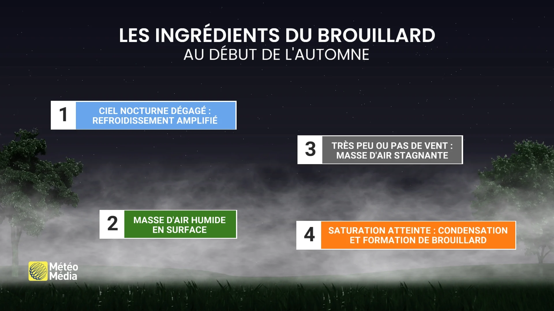 BROUILLARD2