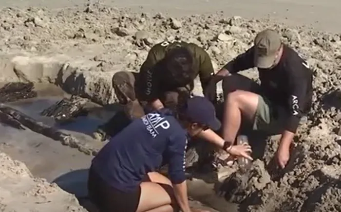 Hurricanes Ian, Nicole unearth 'mystery object' in Florida, possibly from 1800s