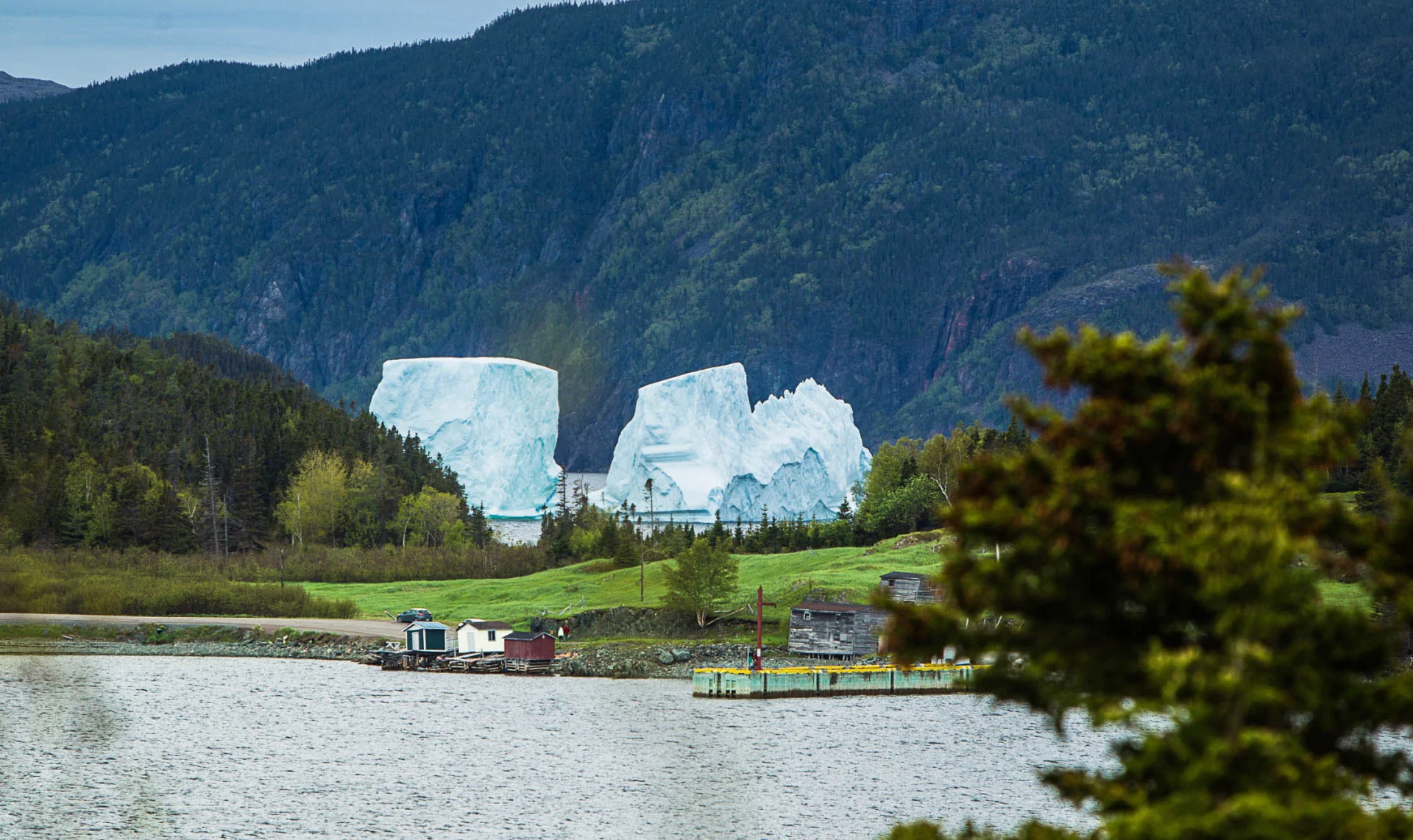 Still waiting for N.L.'s iceberg season? Don't hold your breath, scientists say