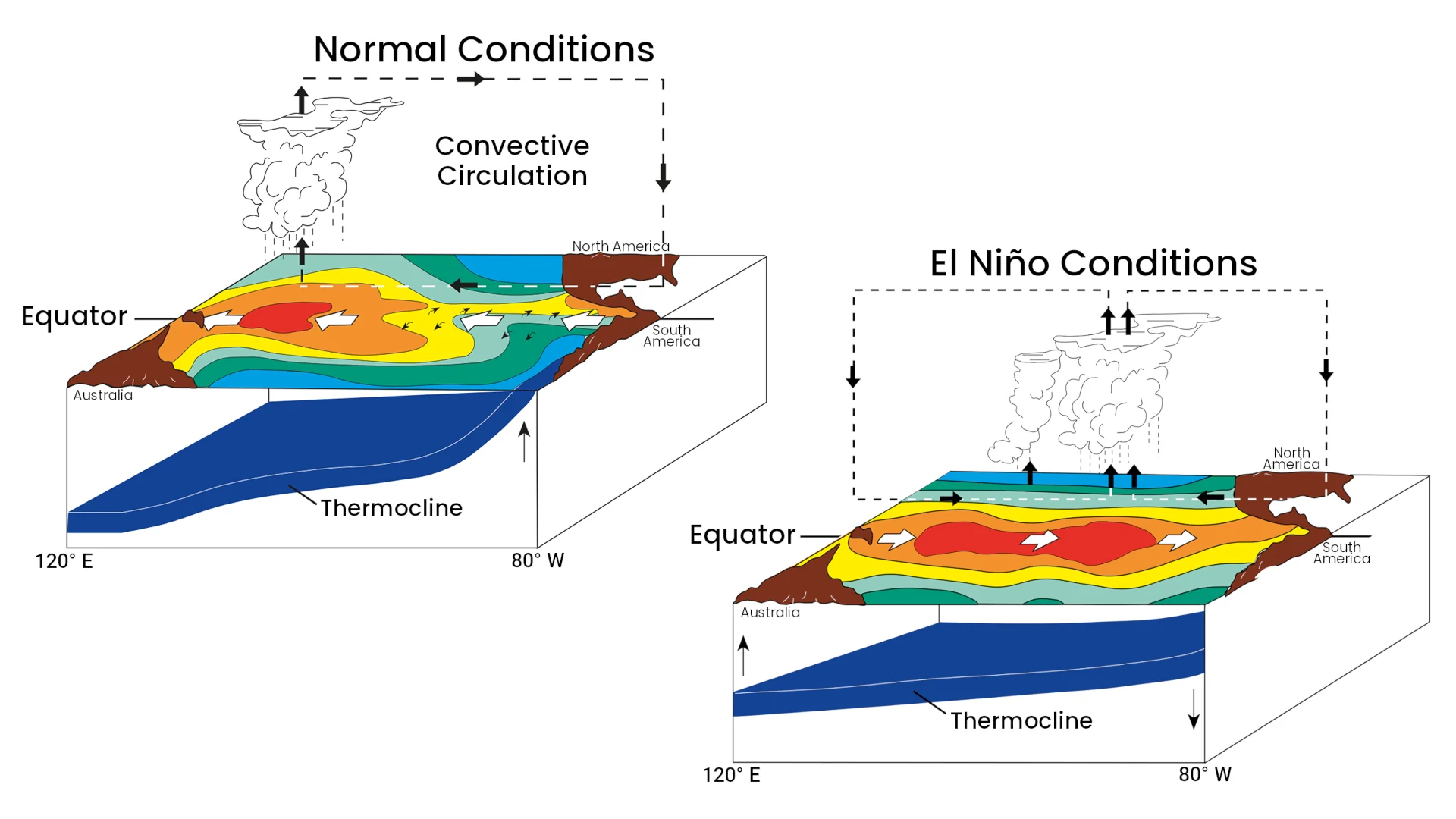 ENSO - Normal vs El Niño