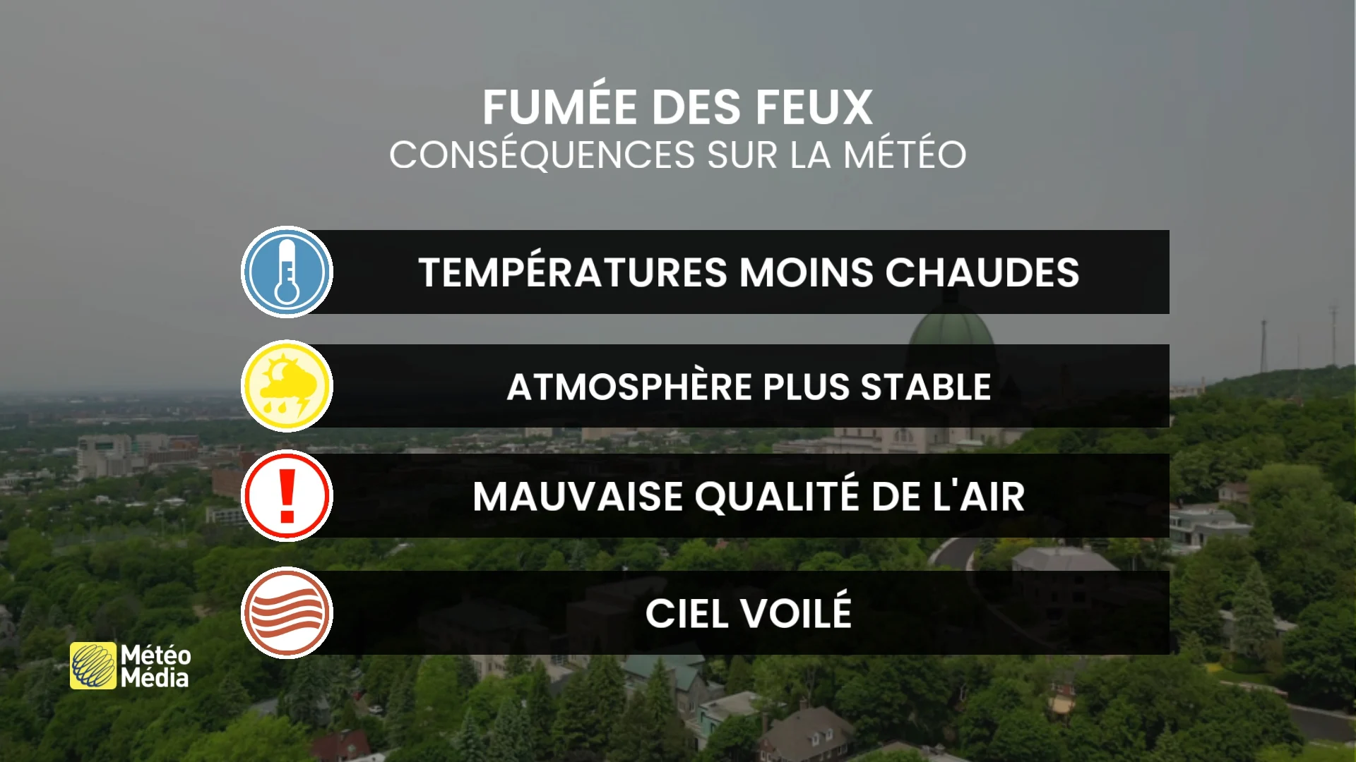 FUMEE2
