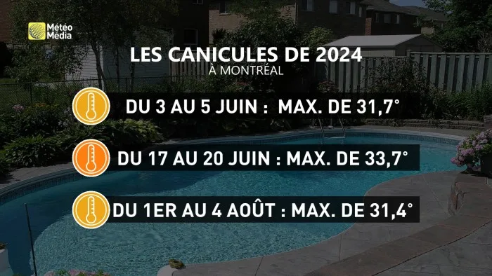 CANICULE2 (1)