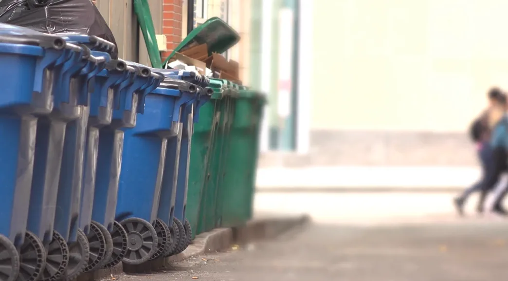 Garbage bins in an alleyway. (Lauren O'Neil/TWN)