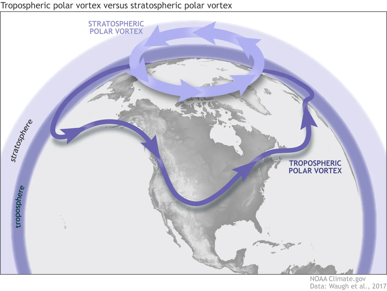 ENSO-Blog Jan- 22 2020Fig1 Polar-VortexMapLg