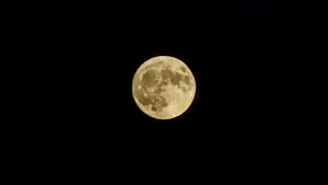 LUNE DE JUILLET THUMB