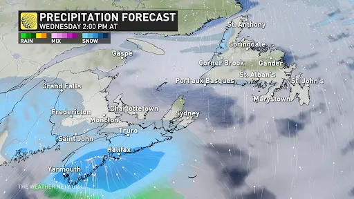Precipitation forecast