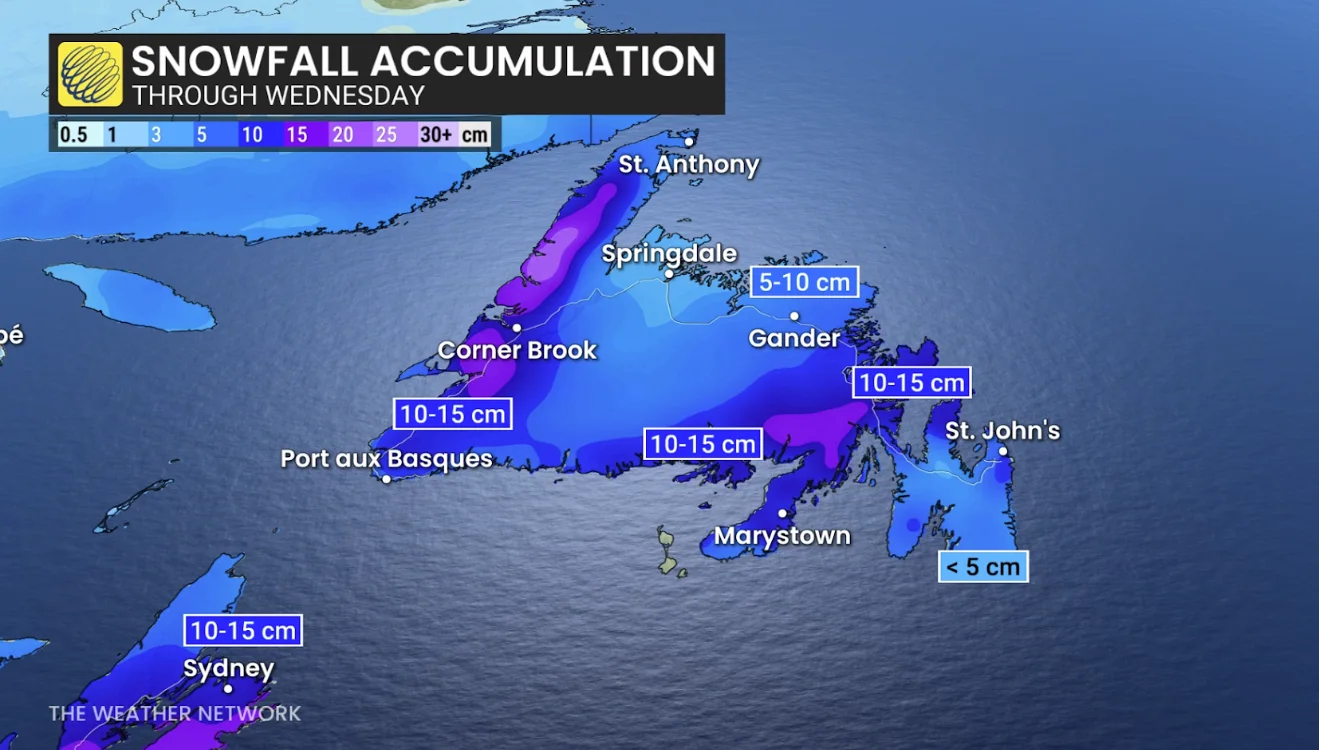 Newfoundland Wednesday forecast snow totals - March 4, 2026