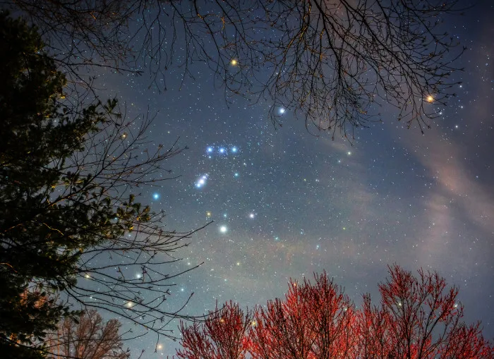 Orion-betelgeuse-nasa