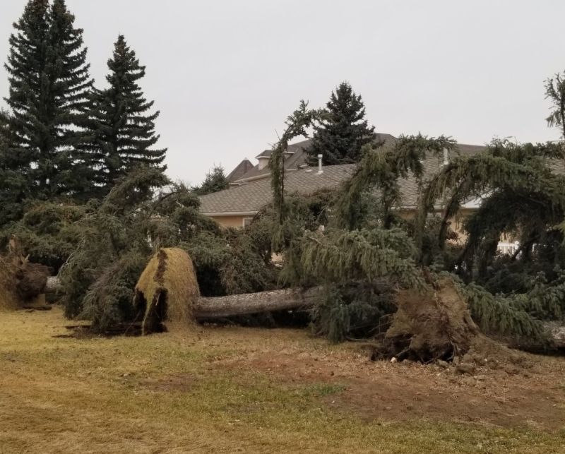 www.theweathernetwork.com