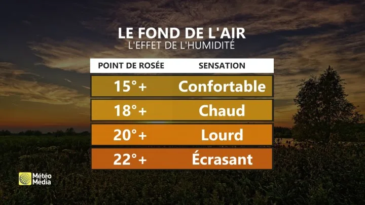 HUM3 FOND DE L-AIR