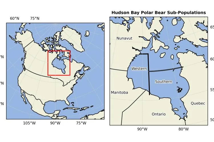 Map - Hudson Bay Polar Bear Sub Populations