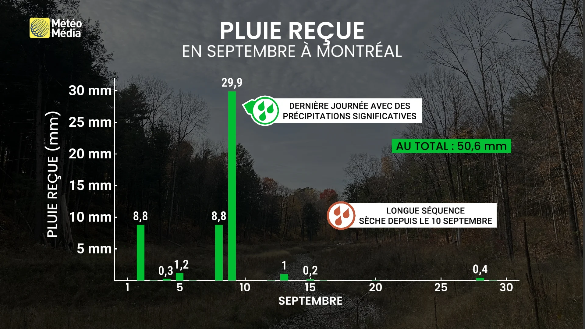 BILAN5