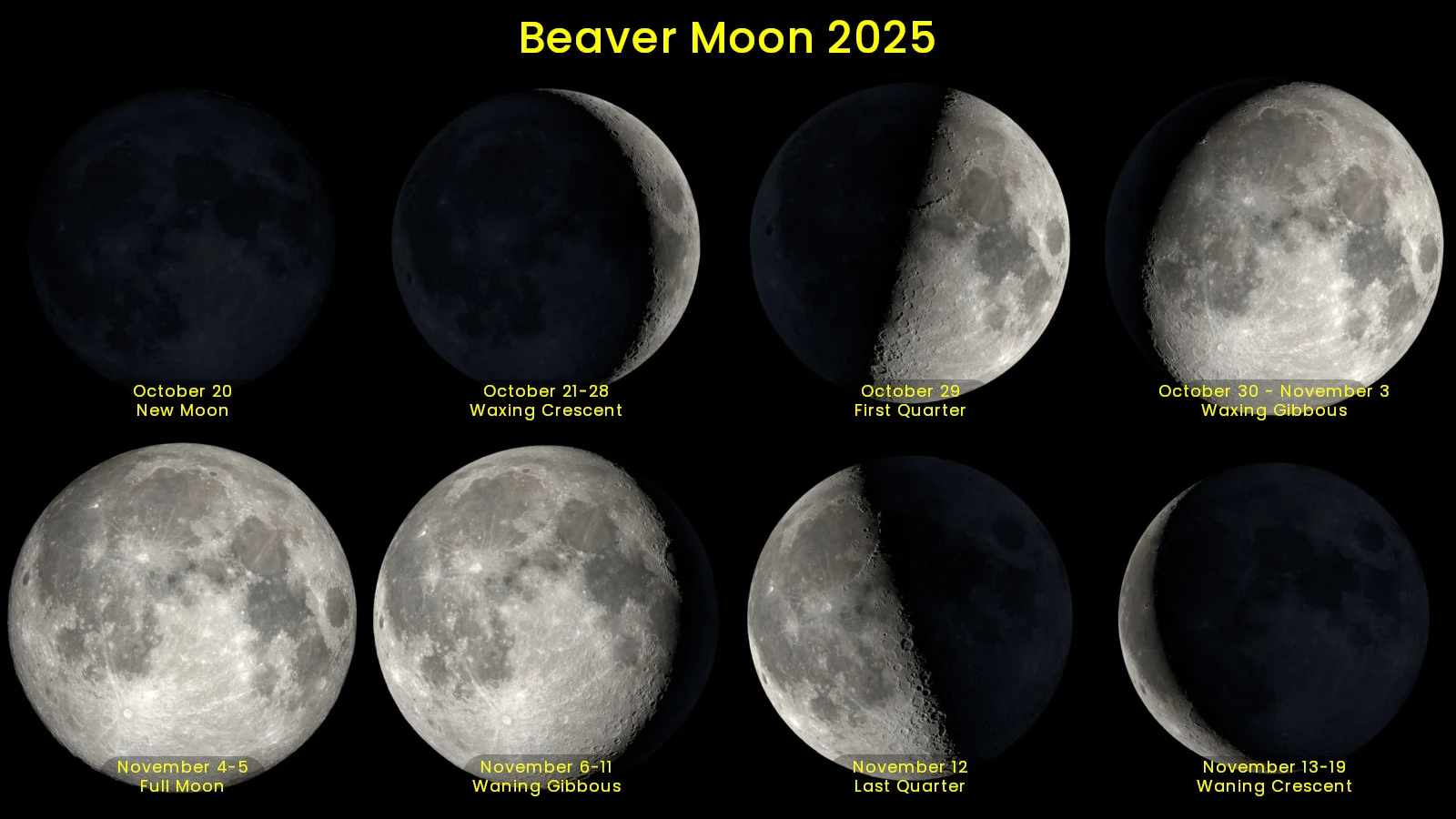 Beaver Moon 2025 phases