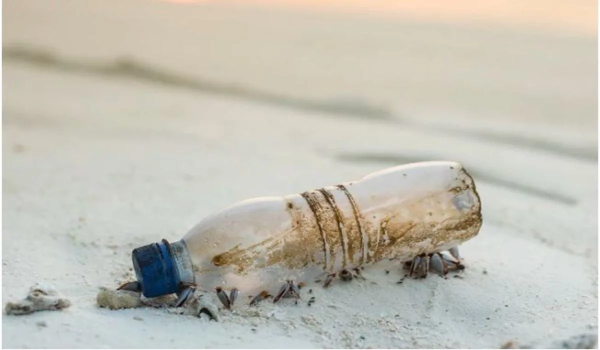 Pollution : les plastiques compostables et biodégradables pointés du doigt