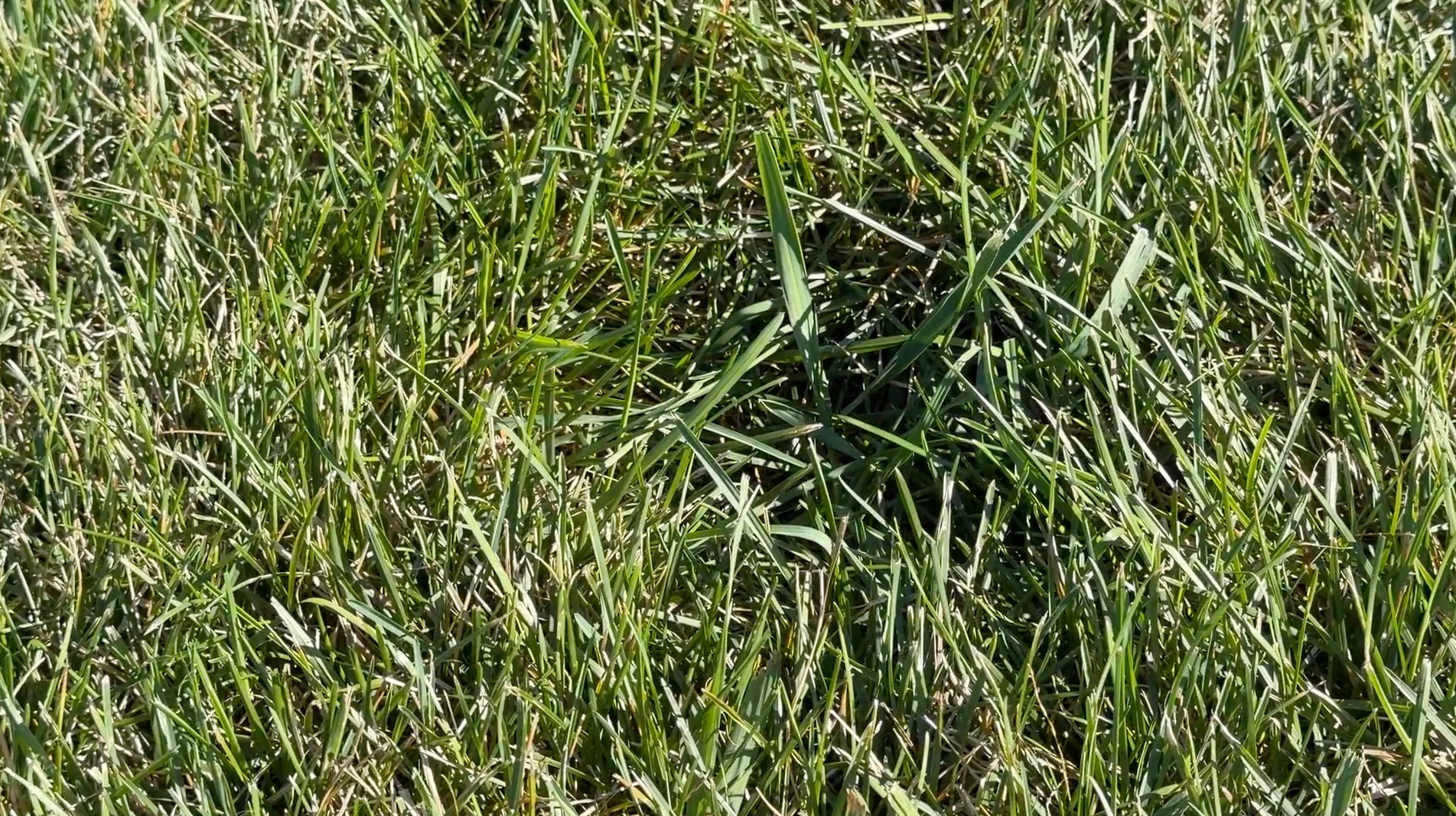 Capture d’écran, le 2026-05-14 à 12.49.15