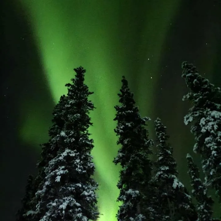 IN PHOTOS: Northern Lights dance across Yukon winter skies this week