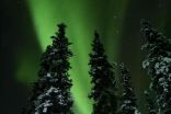 IN PHOTOS: Northern Lights dance across Yukon winter skies this week