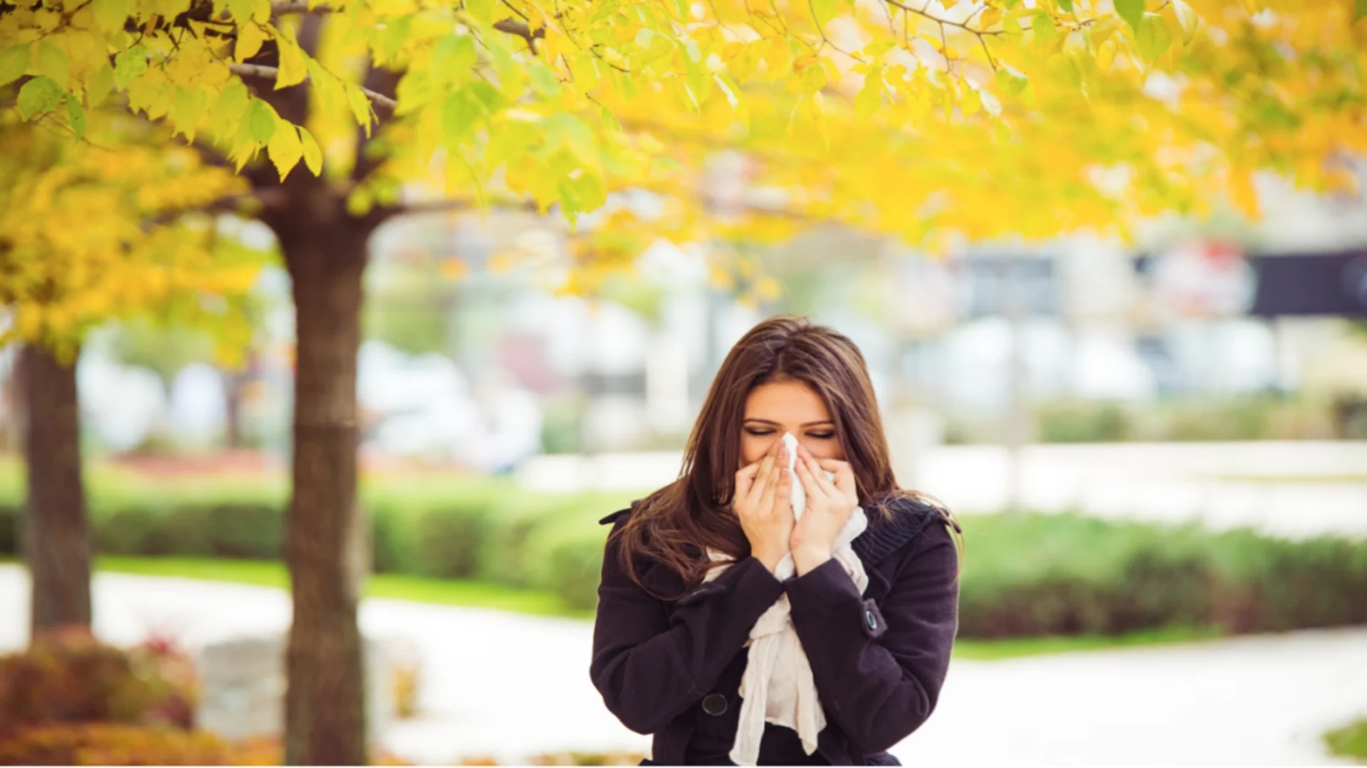 Answering the Internet’s Top 5 Allergy Questions