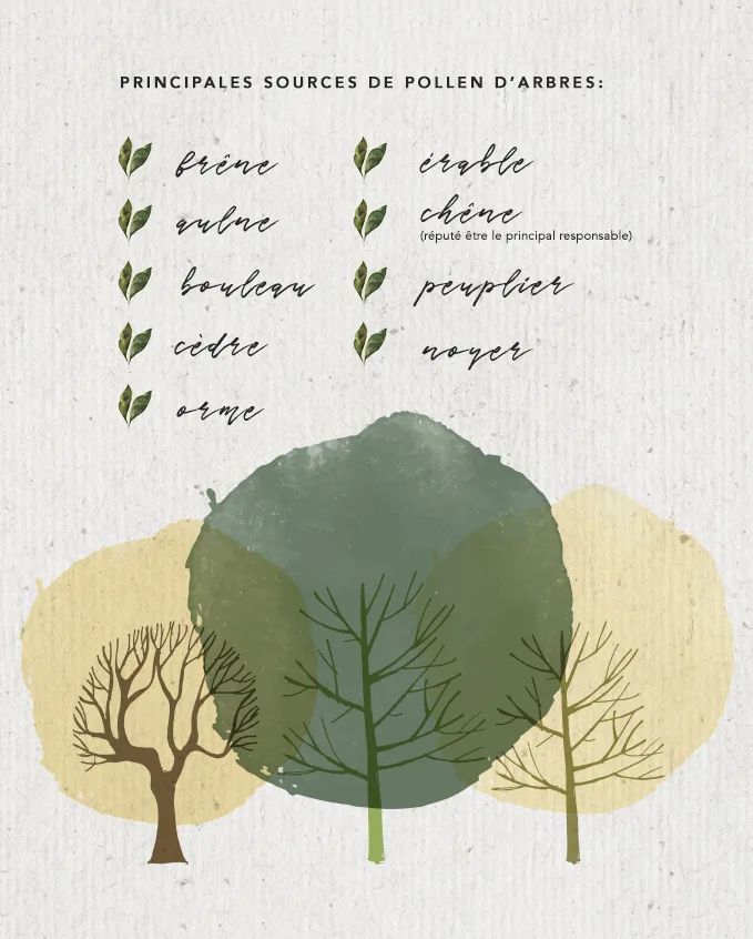 WN Allergies Infographic FR 2