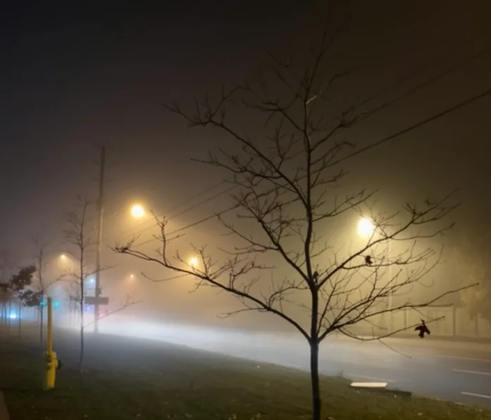 Slug of thick fog completely blankets southern Ontario
