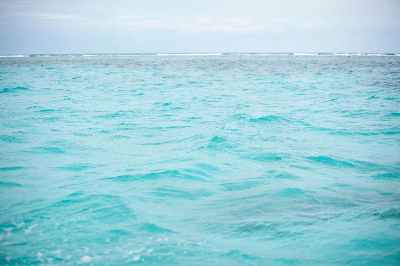 Water/Vera Davidova/Unsplash