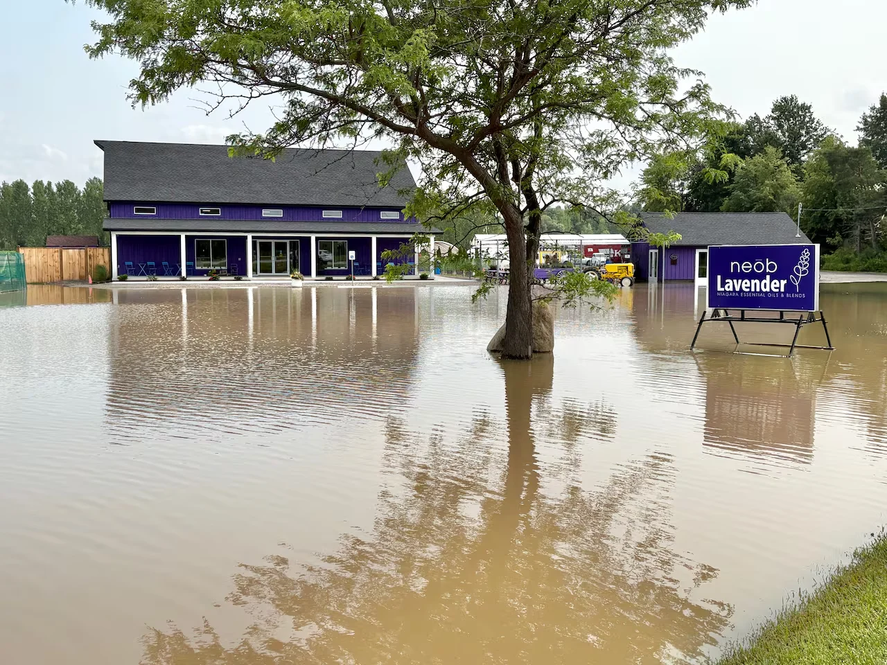 Niagara flooding/Paul Forsyth/CBC