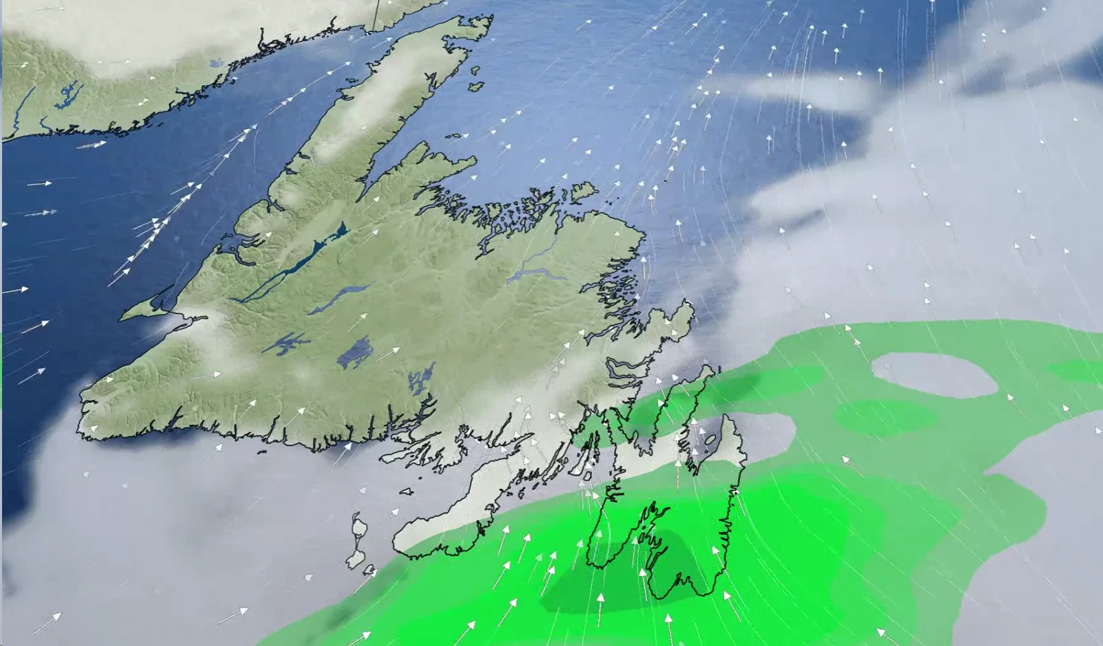 nfld rain