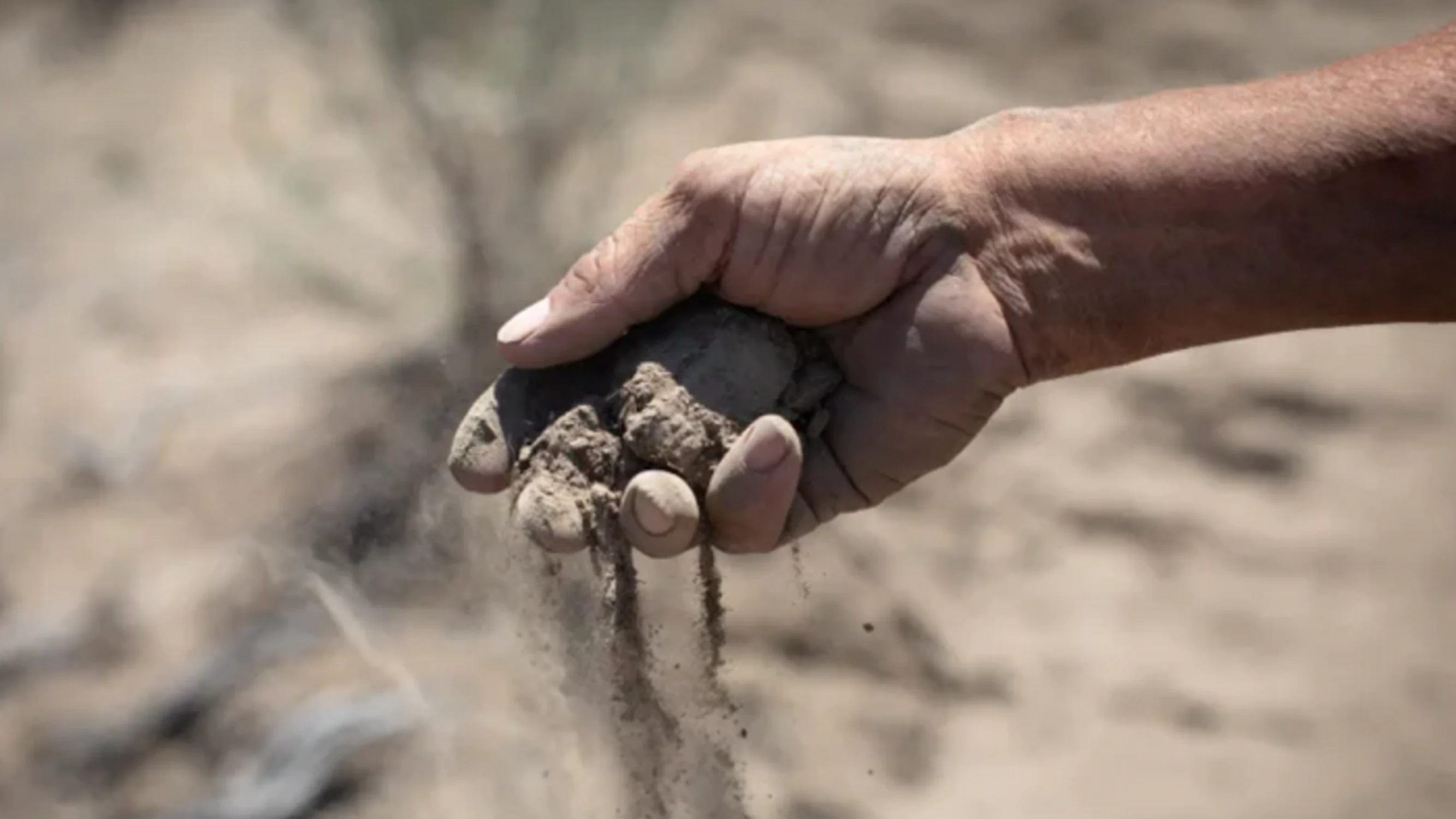 Southern regions of B.C. face worsening drought as another heat wave strikes