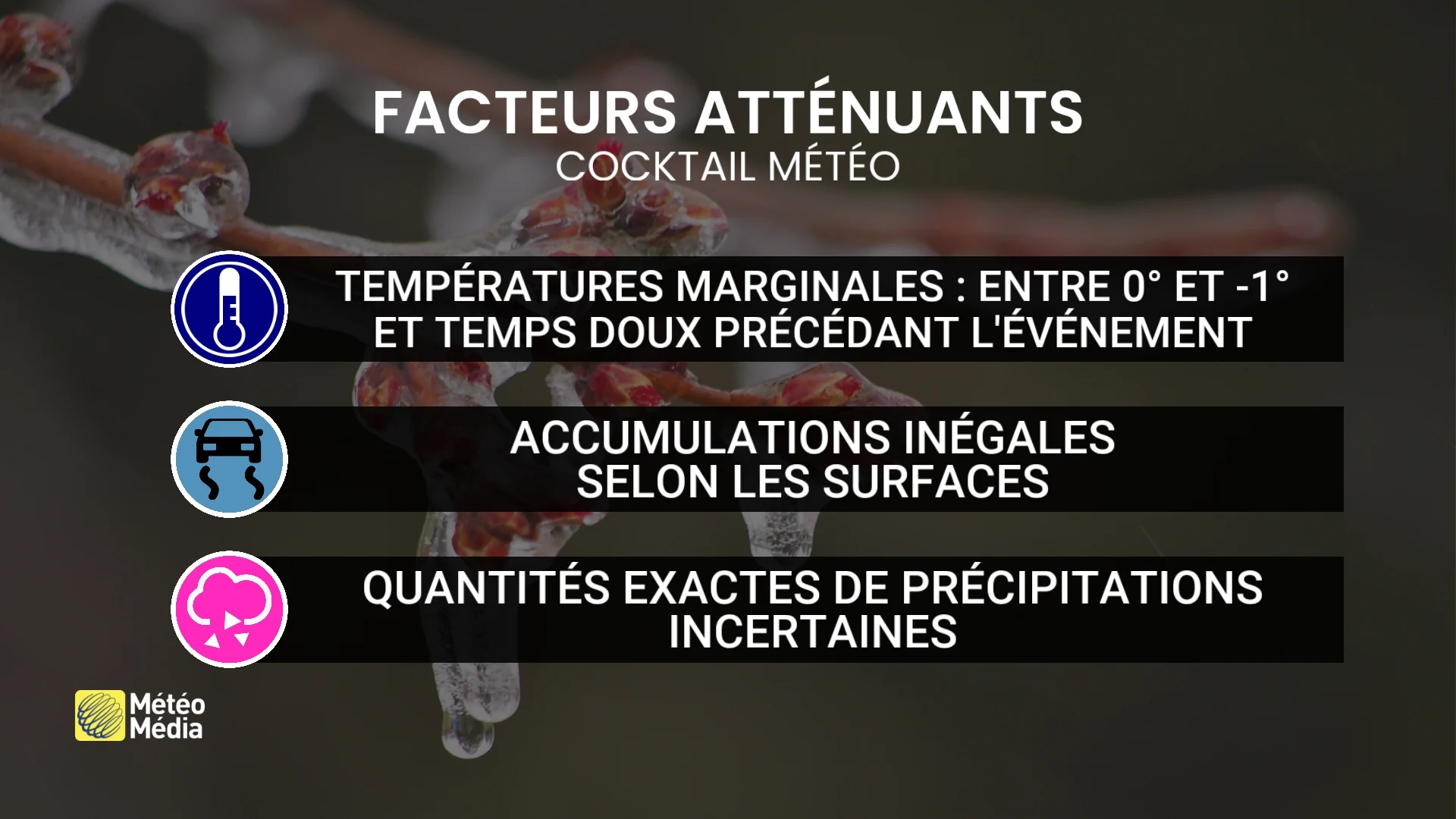 COMPLEXE1