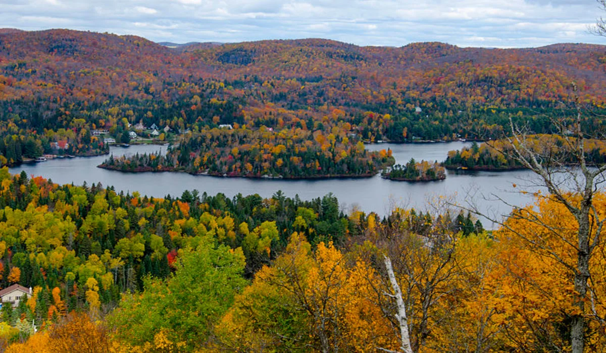 Le Québec, une véritable mine de couleurs 