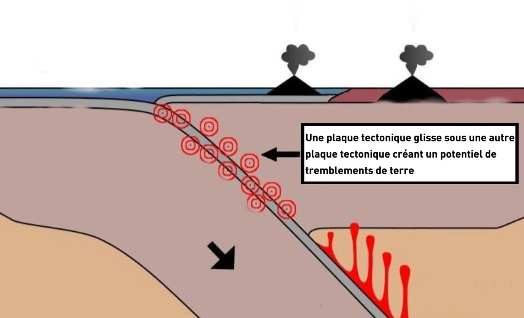 theo plaque tectonique