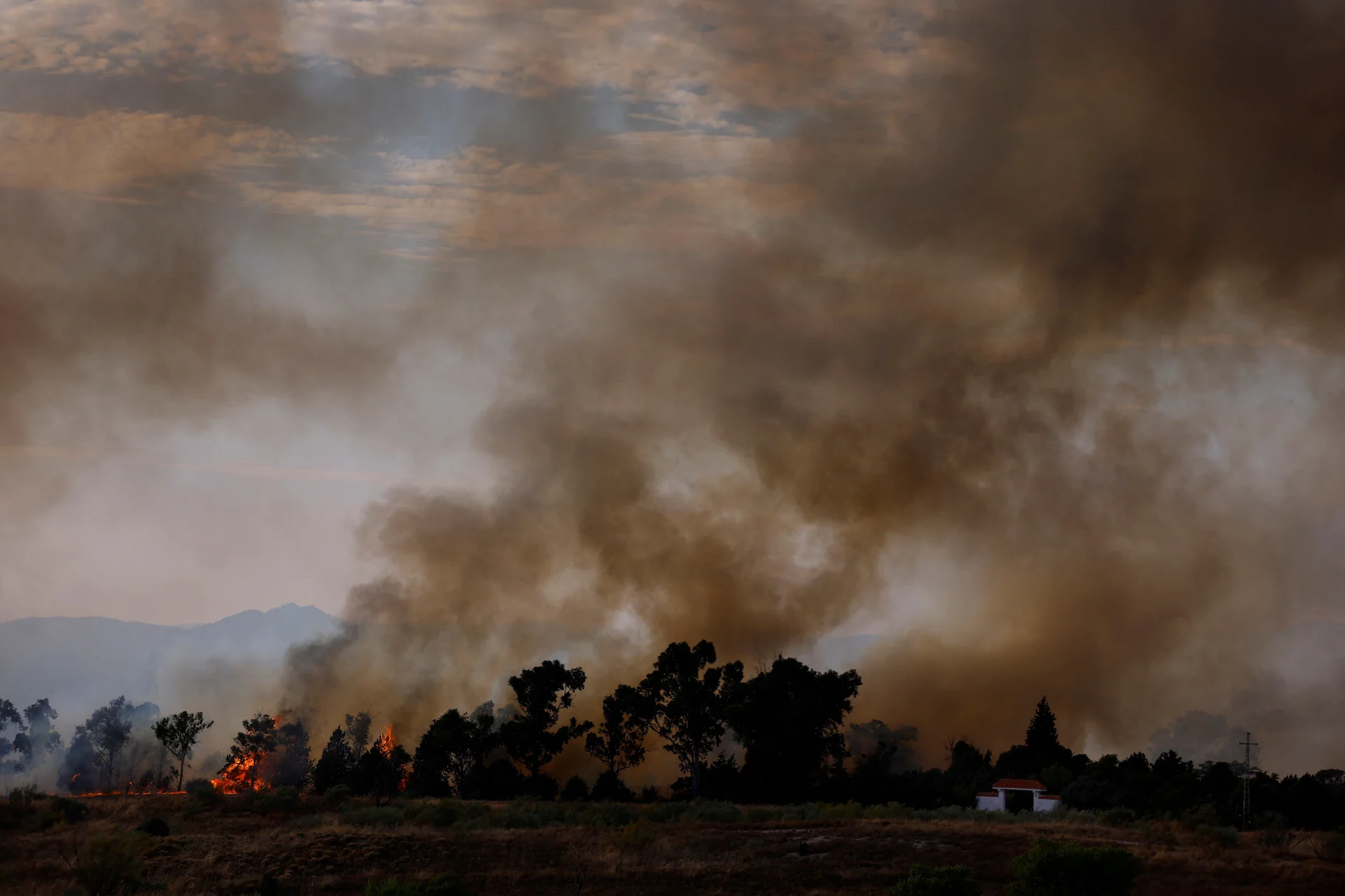 CLIMATE-CHANGE-WORLD-COURT/REUTERS/Susana Vera/File Photo