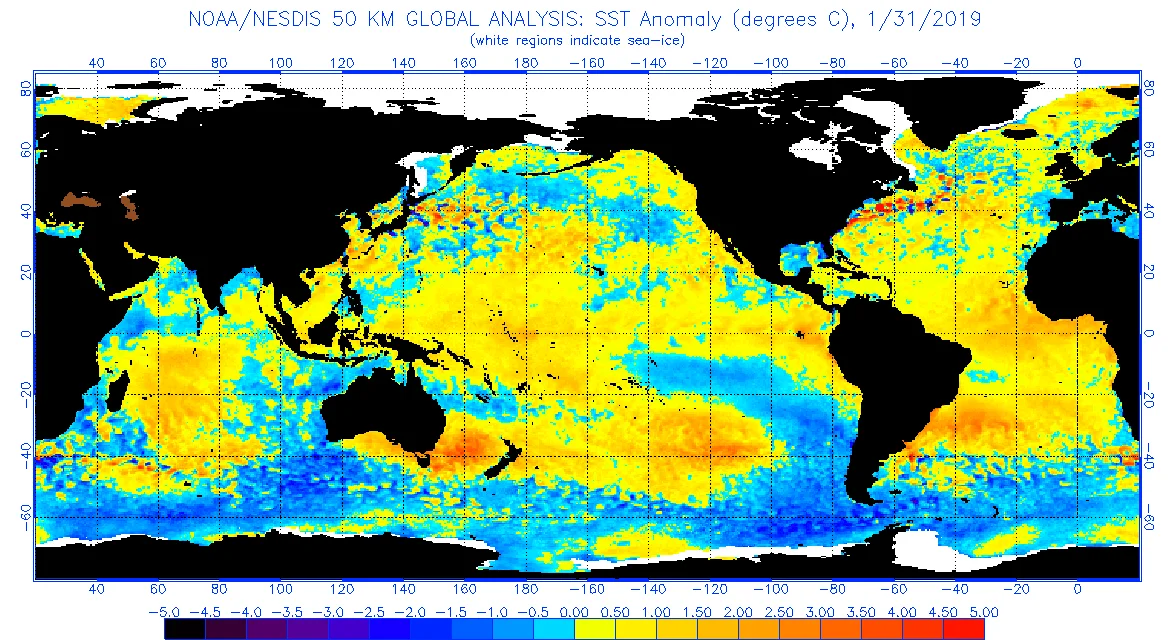 SST anomalies 2019