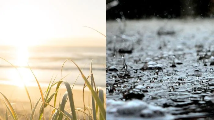 Changement de régime majeur en vue : pluie, neige et froid