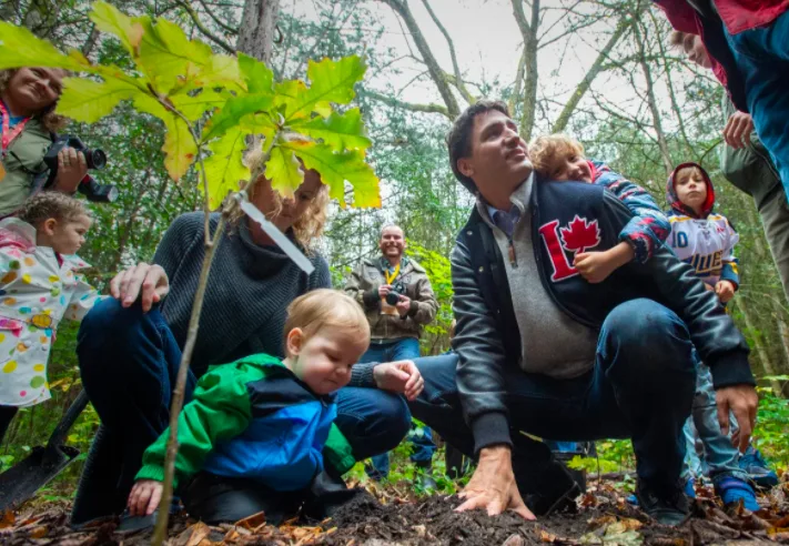 Ottawa reveals its latest plan to plant 2 billion trees by 2030