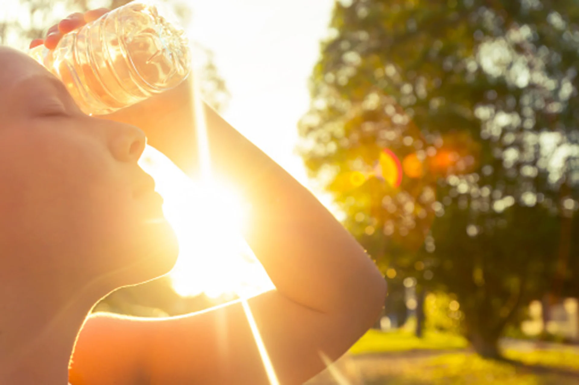 Heat waves can damage organs, new study suggests