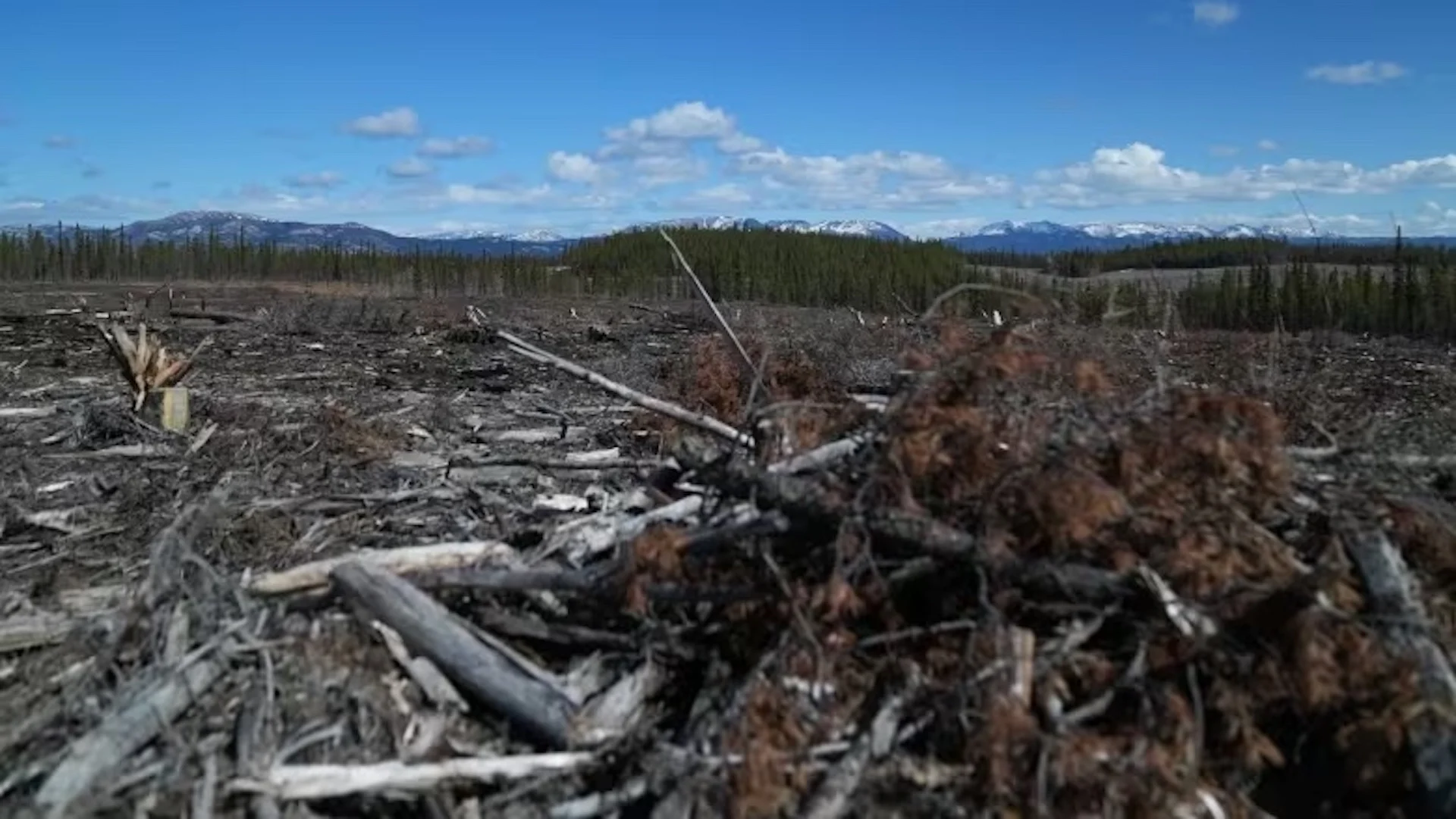 Fire-proofing an entire city: How this Canadian territory is working to protect its capital from wildfires