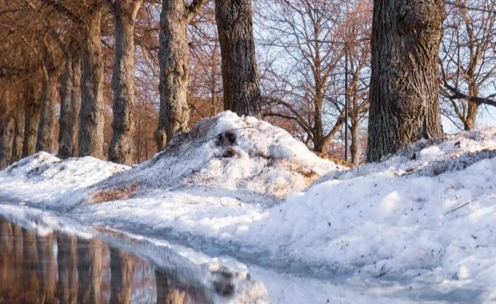 L'Europe connaît un hiver exceptionnellement chaud