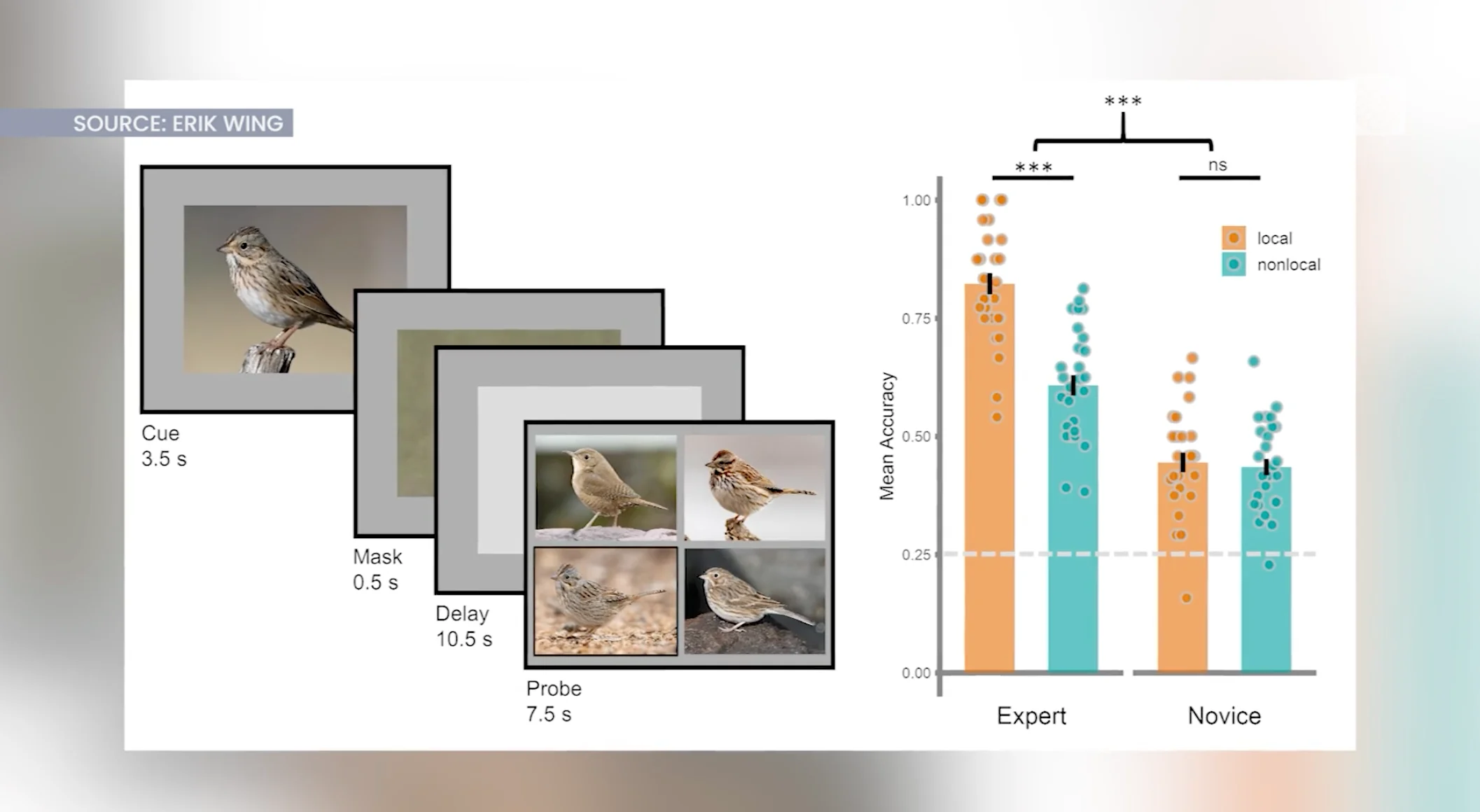 Source: Erik Wing - Bird watching study