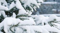 Des hivers en gros déficit de neige au Québec