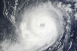 Des conséquences inattendues de l'ouragan Michael en Floride