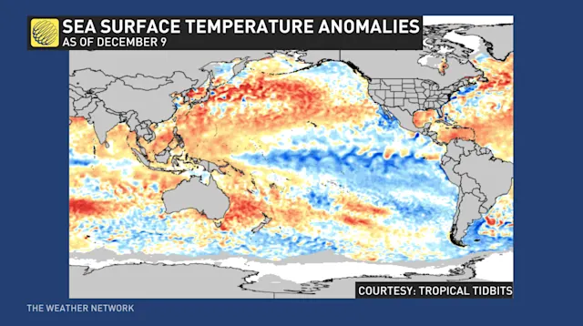 November extends global warming trend as 2024 set to be hottest year ...