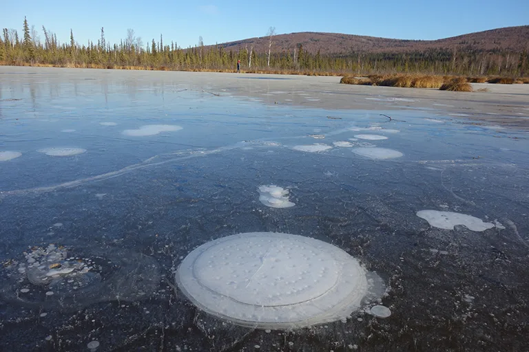 Canada's permafrost line shifted 120 km north, here's why