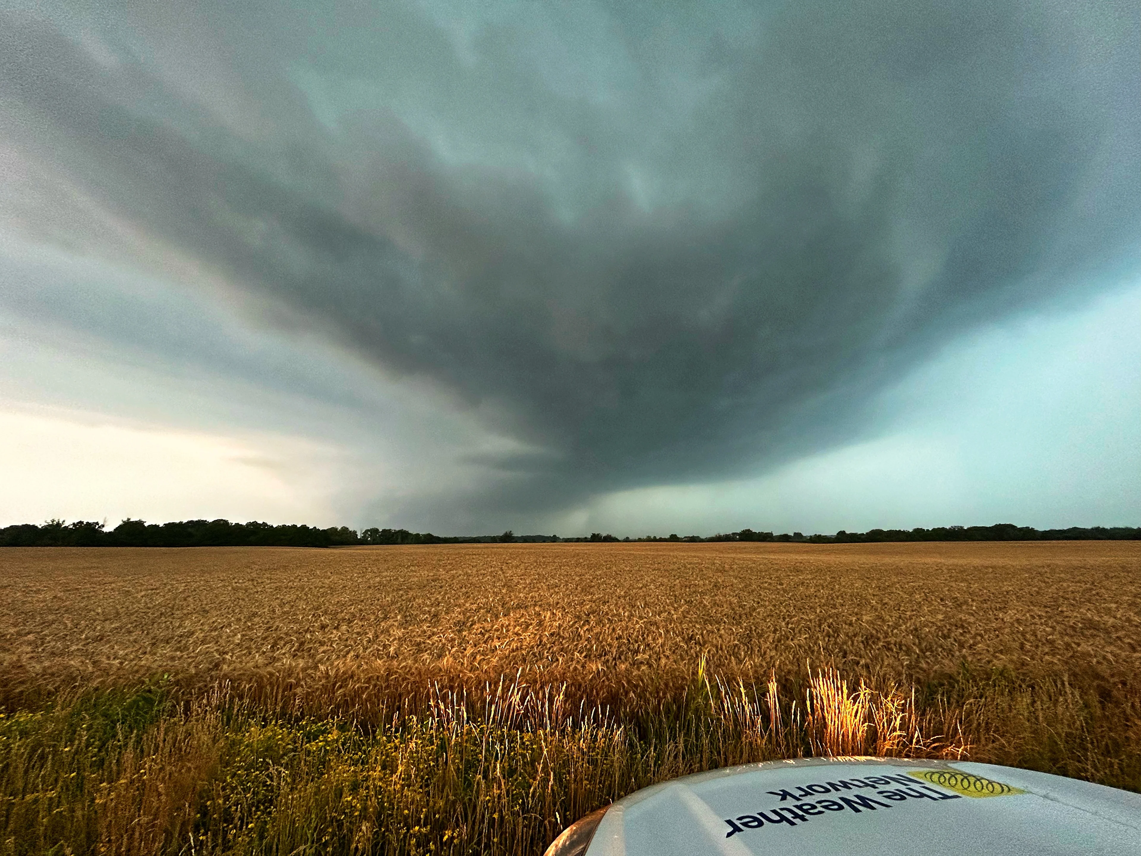 Severe storms with high winds marching through southern Ontario