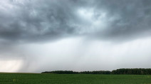 Torrential rainfall drenching parts of southern Ontario Thursday