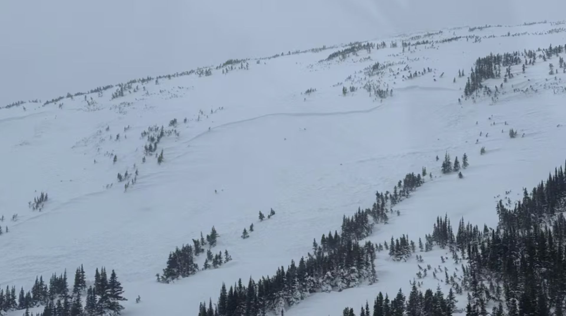 Snowmobiler dies in avalanche in the B.C. Rocky Mountains - The
