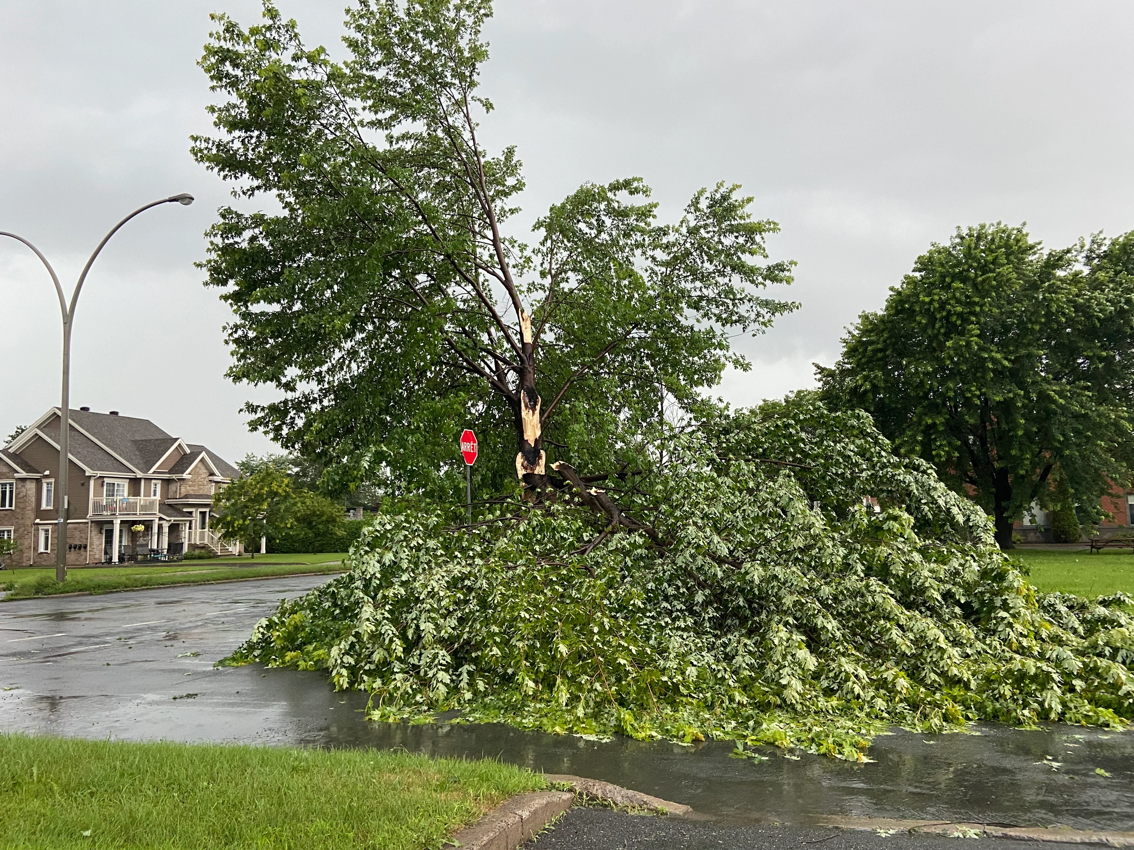 Orages : le Québec y a goûté