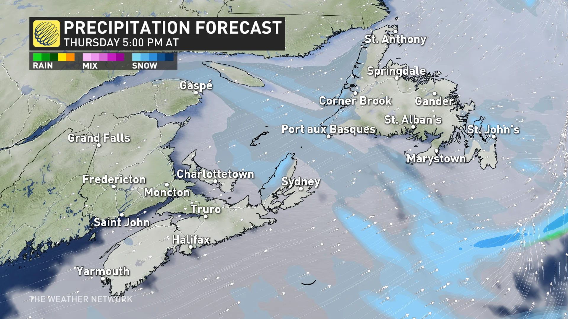 Newfoundland Thursday evening precipitation timing